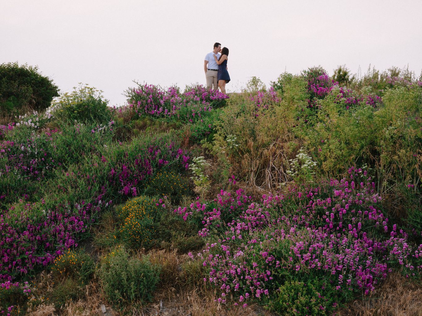 Couple embracing among vibrant magenta wildflowers at golden hour, elevated on natural terrain with soft overcast sky