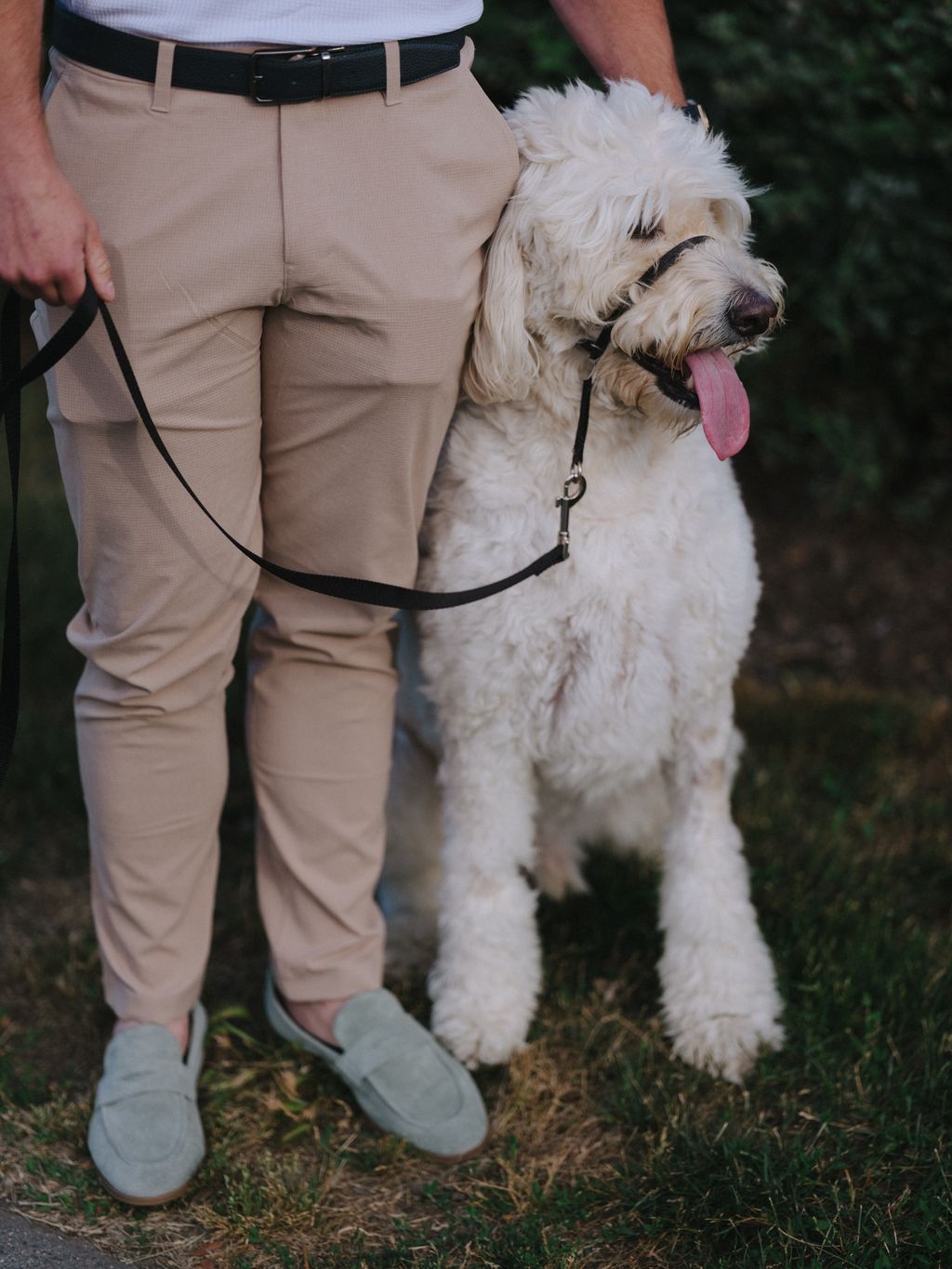 Groom in khaki pants and black belt stands beside fluffy cream-colored dog on leash during coastal engagement session