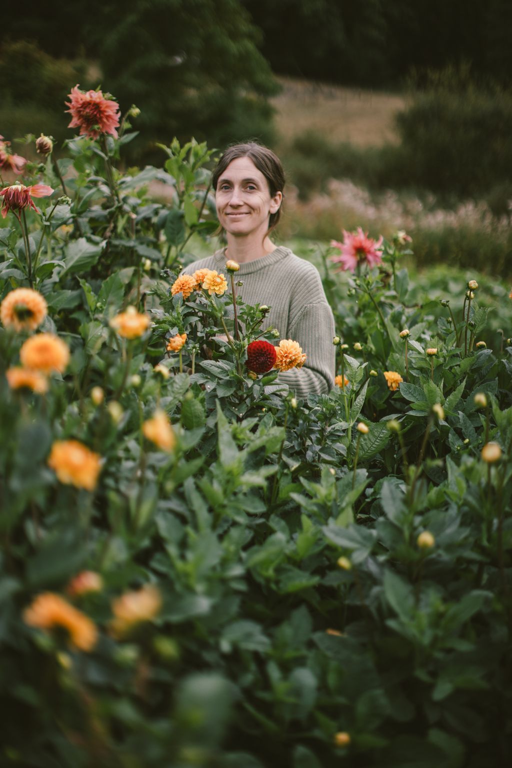 Woman in sage green ribbed sweater surrounded by dahlias in shades of coral, orange, and deep red, soft afternoon light filtering through the garden at Lost Field Farm on Salt Spring Island 