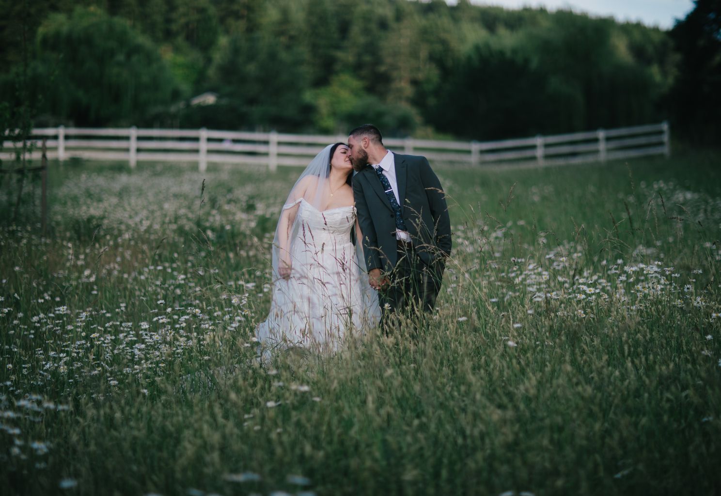Bride and groom kiss in tall grass field with white fence and evergreen forest backdrop at dusk