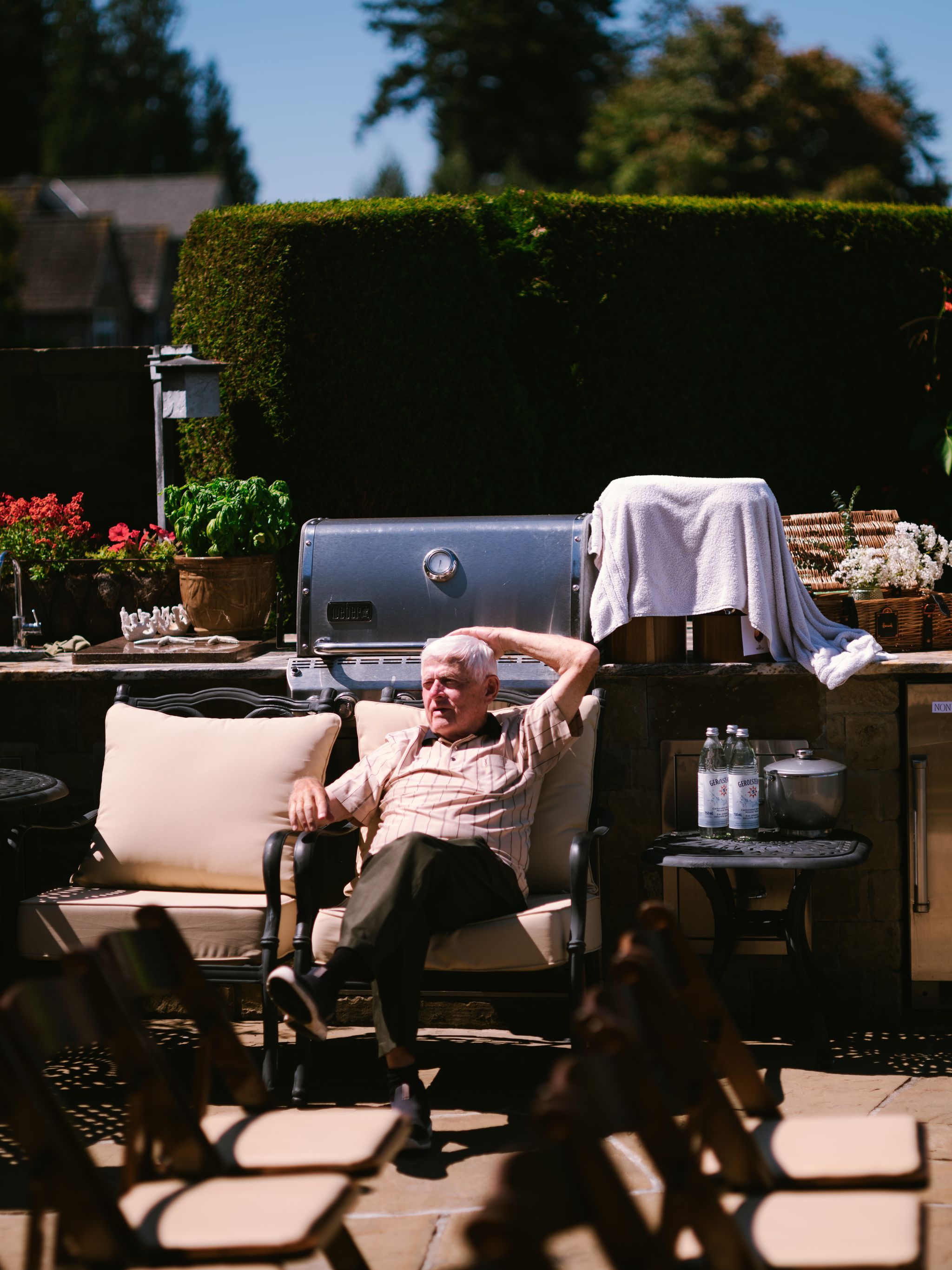 Older man relaxed in vintage truck cab on sunny day, moss-covered hedge and evergreens behind