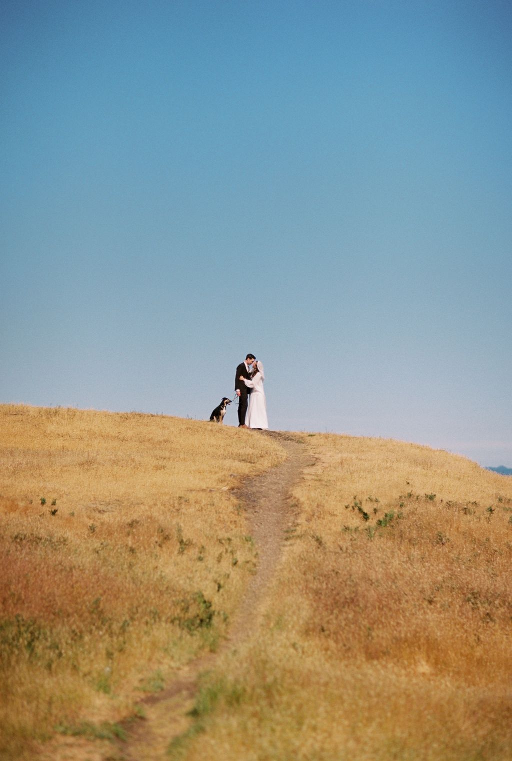 35mm film photograph by Sydney Woodward