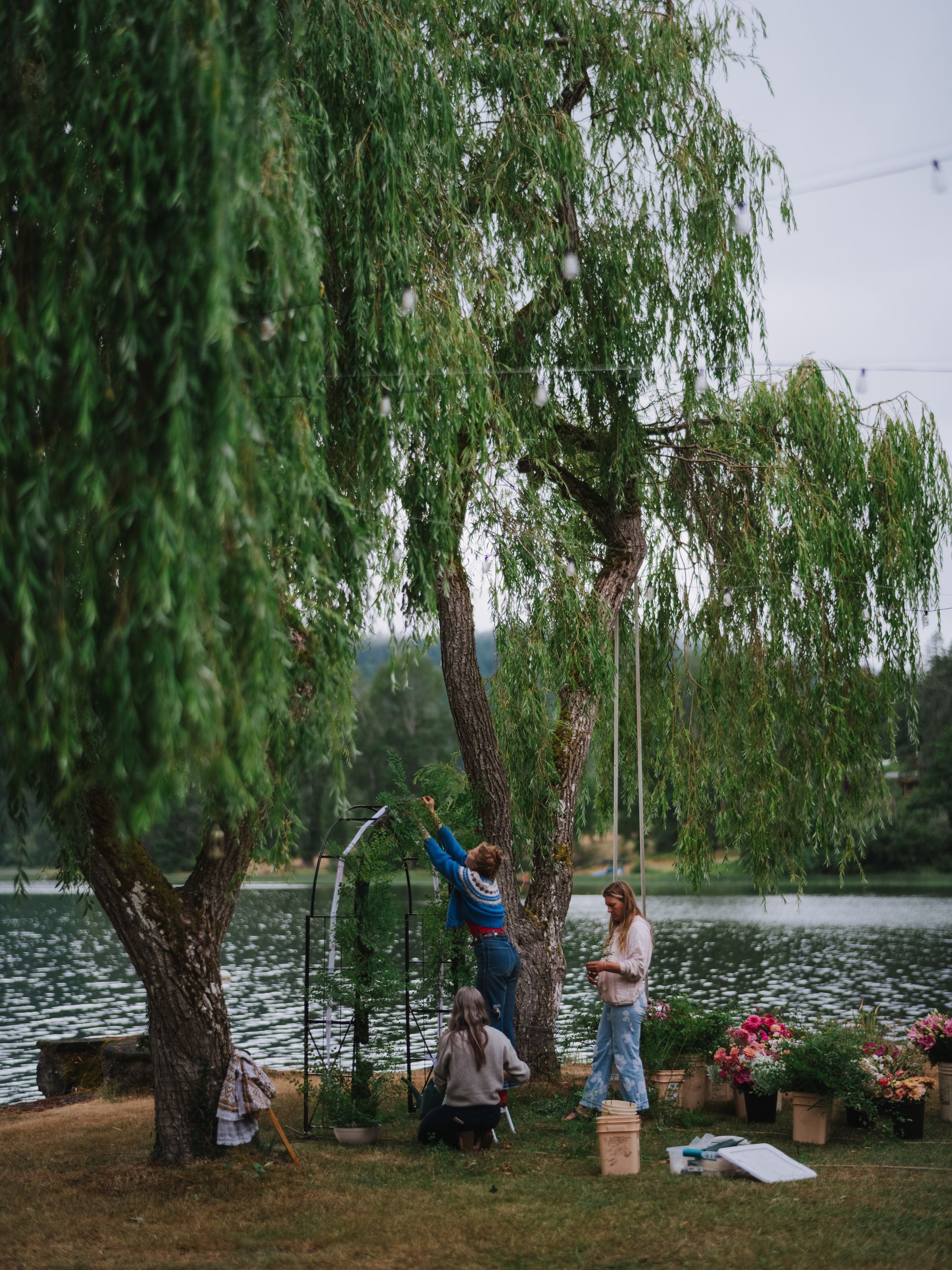 Two people reach up into drooping willow branches beside still water, mountains visible across the lake