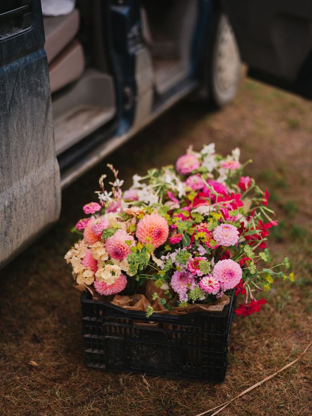 Tali + Chelsea Salt Spring Island Wedding - Preview Gallery.