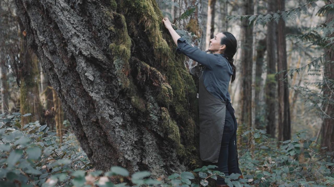 Woman in dark jacket reaches toward fern fronds on moss-covered tree bark in forest setting